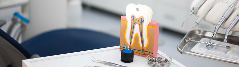 FOR ESTHETIC DENTAL CLINIC
