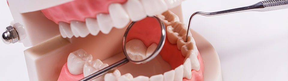 FOR ESTHETIC DENTAL CLINIC